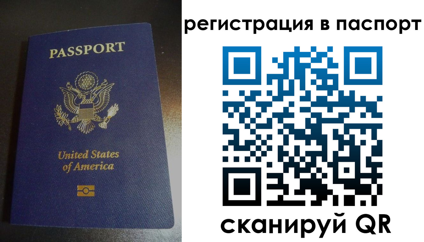 прописка для школы в Благодарном